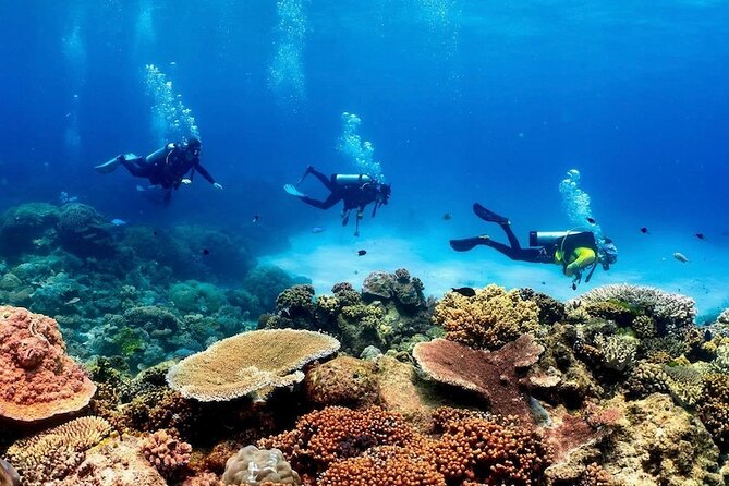 Cairns: Tandem Skydive Experience over Reef & Rainforest - Stops 3 and 4: Fitzroy Island and Green Island