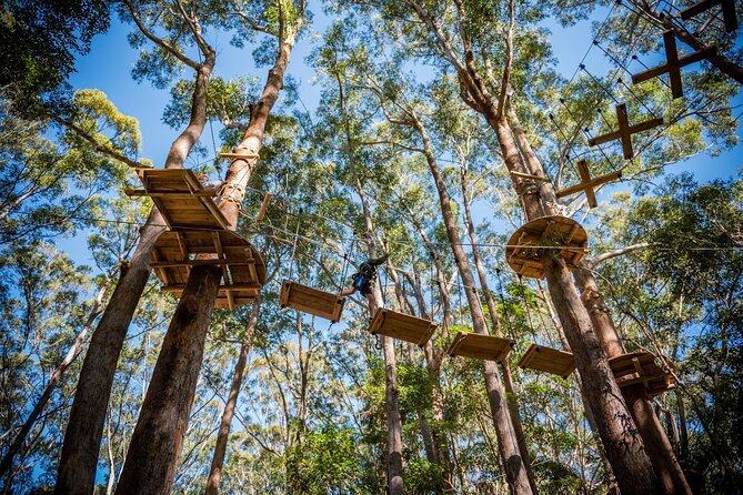 Coffs Harbour Ground Rush or Max Freefall Tandem Skydive on the Beach - Who should book this Coffs Harbour jump?