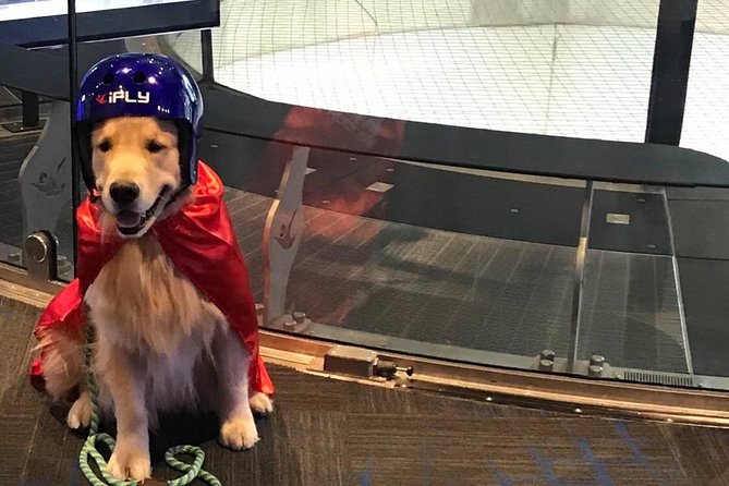 King of Prussia Indoor Skydiving with 2 Flights & Personalized Certificate - Why the instructors matter so much