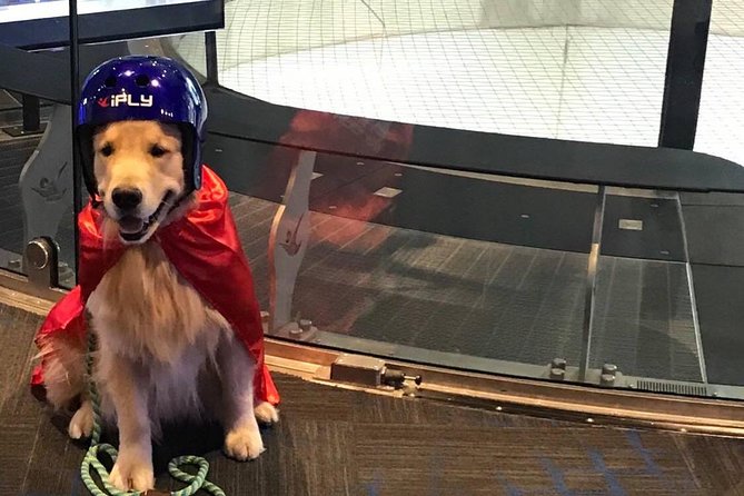 Minneapolis Indoor Skydiving Admission with 2 Flights & Personalized Certificate - Is indoor flight safe and scary?