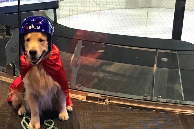 Oceanside Indoor Skydiving Experience with 2 Flights & Personalized Certificate - What makes this more than a novelty
