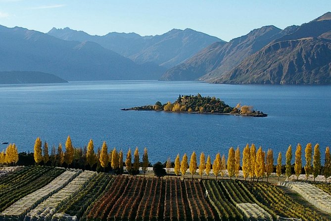 Skydive Wanaka - Is $222.79 Good Value?