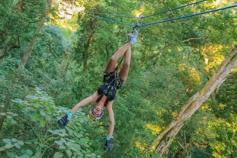 Vallarta: Xtreme Adventure, Indoor Skydive, Rappel, UTV - A full day of jungle action near Puerto Vallarta
