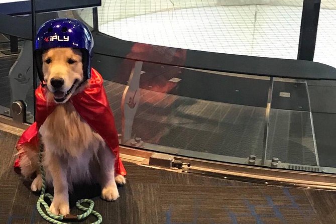 Westchester Indoor Skydiving Admission with 2 Flights & Personalized Certificate - Your first 60-second flight